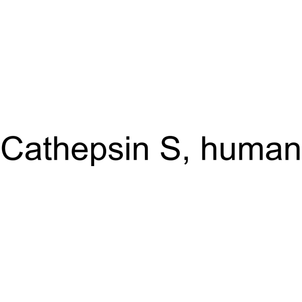 Cathepsin S, human (CTSS) 71965-46-3